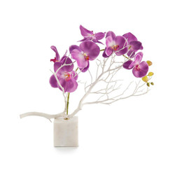 Marble Orchids