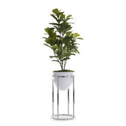 Green Fiddle-Leaf Fig Tree with Silver Stand