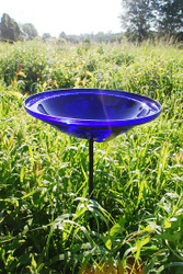 Cobalt Blue Crackle Bowl with stand
