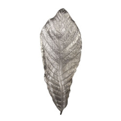 Colossal Silver Leaf