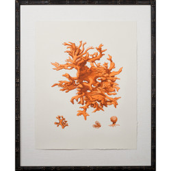 Tangerine Coral Giclee I