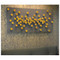 Seed Wall Play - Gold - Set of 20 image 5