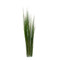 Potted Century Grass image 5
