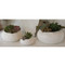 Ceramic Urchin Bowl - Matte White - Lg