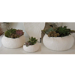 Ceramic Urchin Bowl - Matte White - Sm