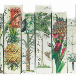 Palm Series Collection