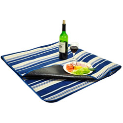 Picnic Blanket with water resistant backing - Blue Tan Strpe image 1