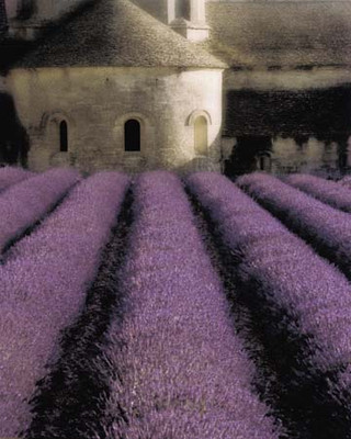 Art Classics Lavender Abbey