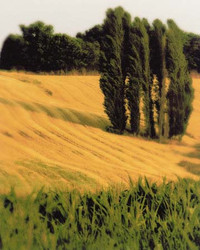 Art Classics Tuscan Grain