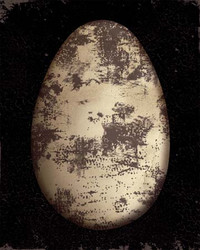 Art Classics Brown Speckled Egg