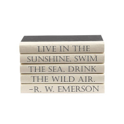 E Lawrence Quotations Series: R.W. Emerson "Live In The Sunshine..."