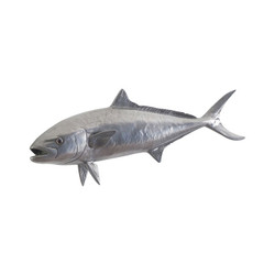 Phillips Collection Yellow Tailed King Fish, Polished Aluminum
