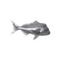 Phillips Collection Australian Snapper Fish, Polished Aluminum
