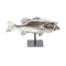 Phillips Collection LGmouth Bass Fish, with Stand