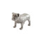 Phillips Collection Bulldog, Silver Leaf