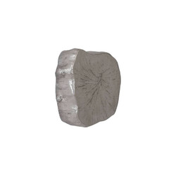 Phillips Collection Log Wall Slice, Silver Leaf