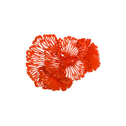 Phillips Collection Flower Wall Art, Coral, SM