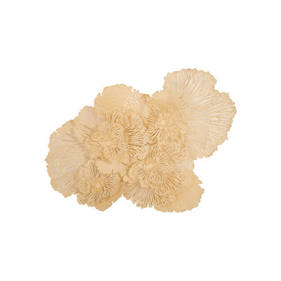 Phillips Collection Flower Wall Art, Ivory, LG