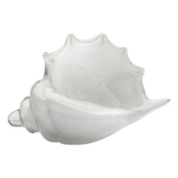 Jamie Young Triton Shell
