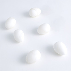 S/6 Alabaster Eggs - White