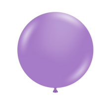 lavender balloons tuf tex balloons
