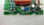 AC249712-ISS-2