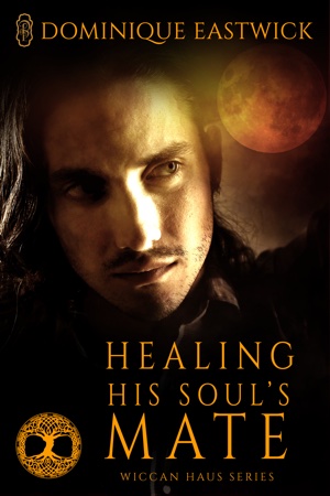 healing-his-soul-s-mate.jpg