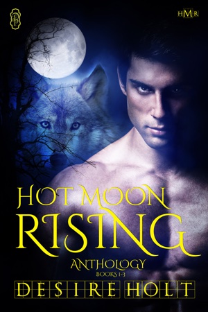 hot-moon-rising-anthology.jpg
