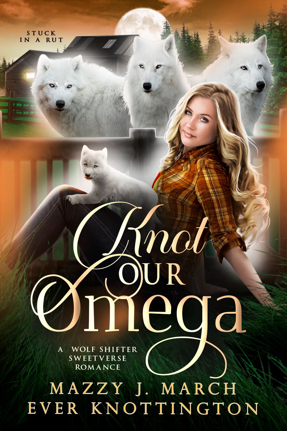 Knot Our Omega by Mazzy J. March and Ever Knottington