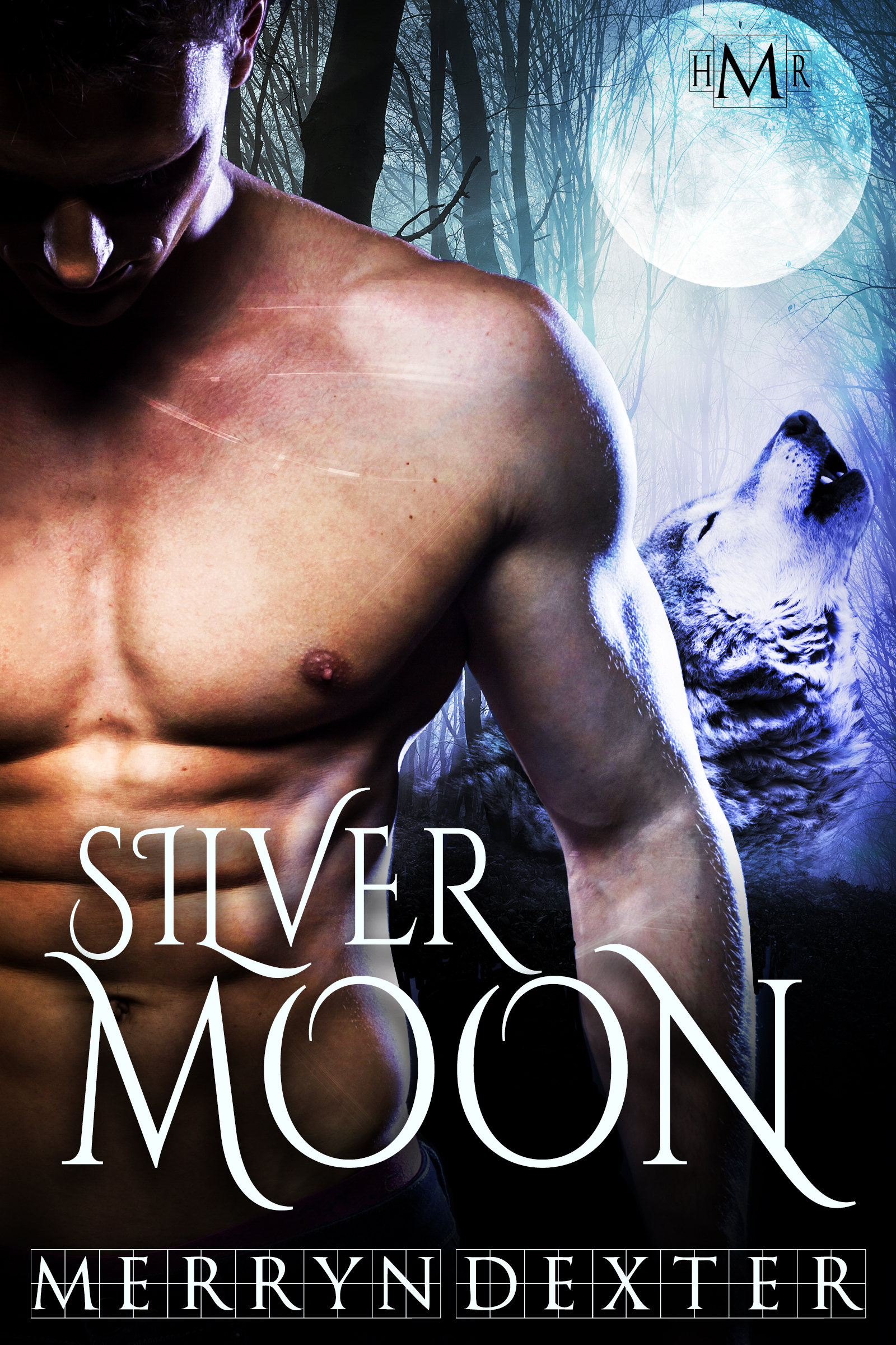 silver-moon.jpg