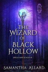 The Wizard of Black Hollow
