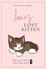 Lane's Lost Kitten