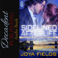 Sidelined Afterlife Audiobook