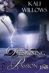 Designing Passion (1Night Stand)