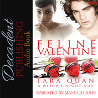 Feline Valentine Audio Book