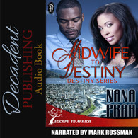 Midwife to Destiny Audio Book