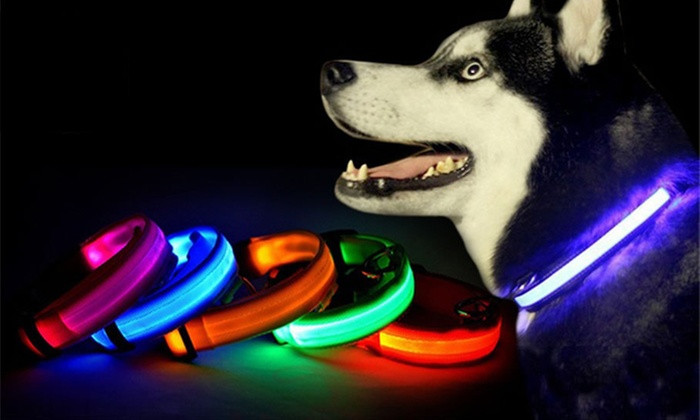 Dog Collar with LED Safety Lights - www.internationalcommoditiesbrokers.com