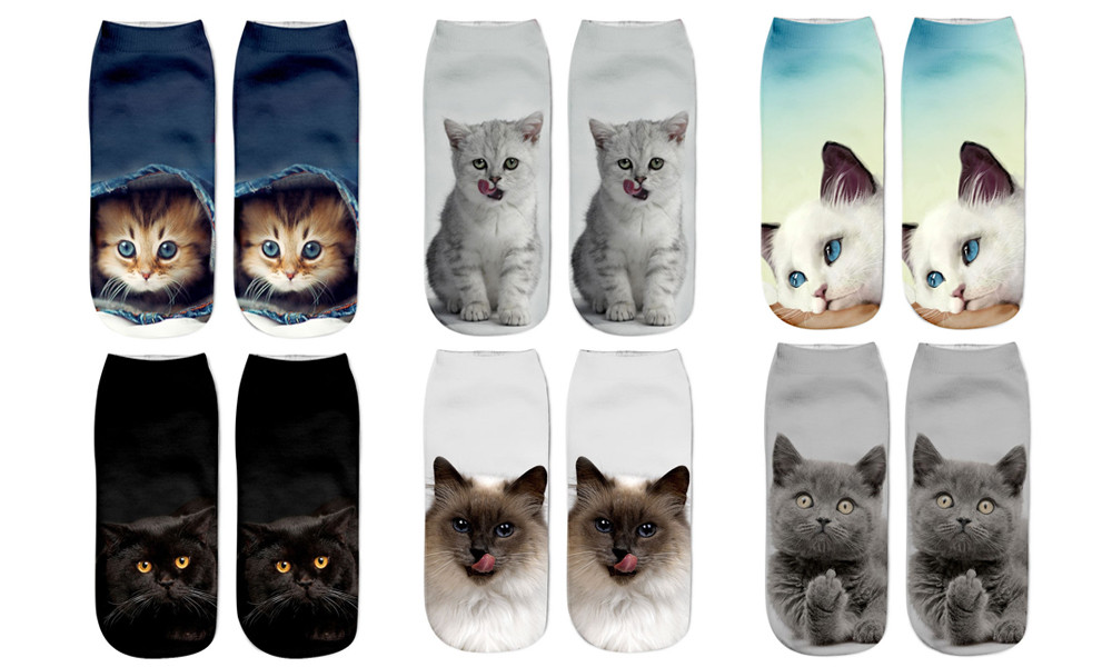 Cat trainer socks Clearance
