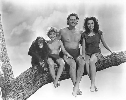 This is an image of 176319 Tarzan Photograph & Poster