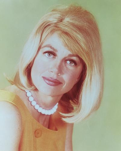 This is an image of 238471 Dorothy Malone Photograph & Poster