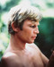This is an image of 238606 Michael York Photograph & Poster