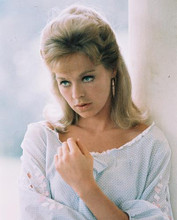 This is an image of 239832 Susannah York Photograph & Poster