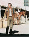 This is an image of 240556 Paul Newman Photograph & Poster