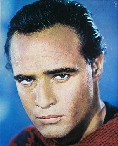 This is an image of 242031 Marlon Brando Photograph & Poster