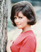 This is an image of 243296 Claudia Cardinale Photograph & Poster