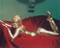 This is an image of 243627 Shirley Eaton Photograph & Poster