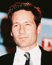 This is an image of 244813 David Duchovny Photograph & Poster