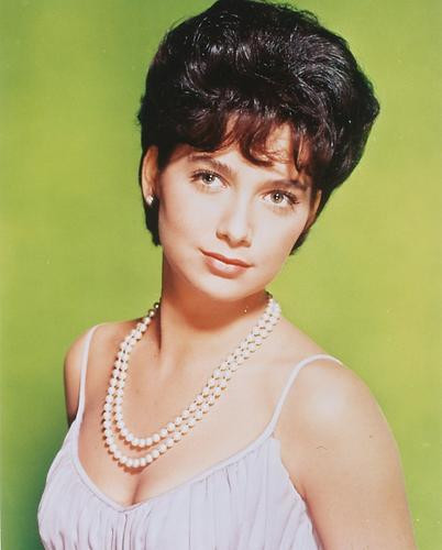 This is an image of 250375 Suzanne Pleshette Photograph & Poster