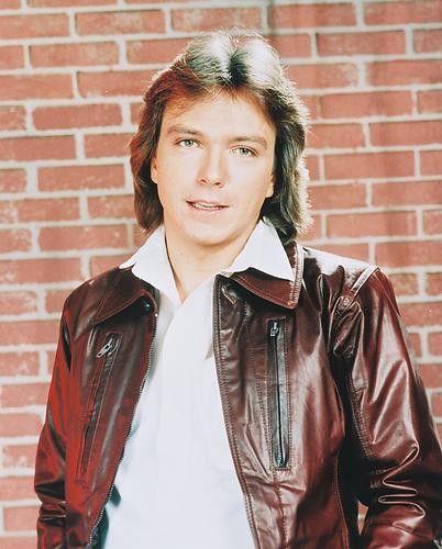 This is an image of 251882 David Cassidy Photograph & Poster