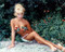 This is an image of 260225 Elke Sommer Photograph & Poster